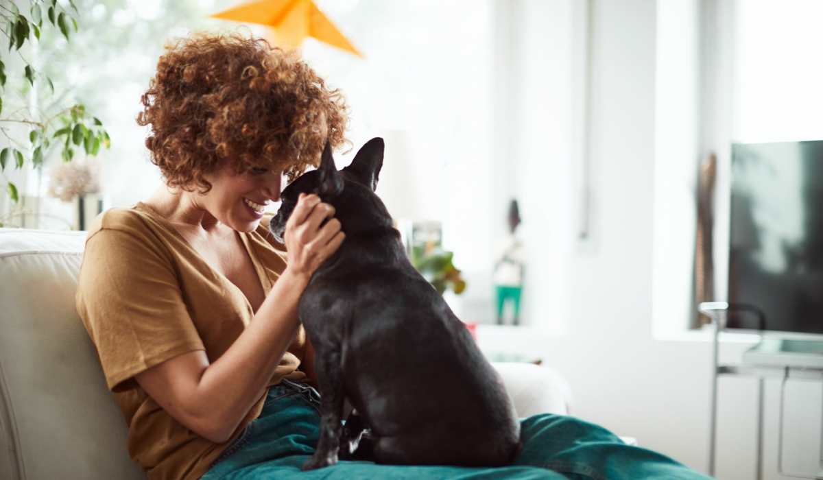 Pet-friendly community at Fifteen in Miami, Florida