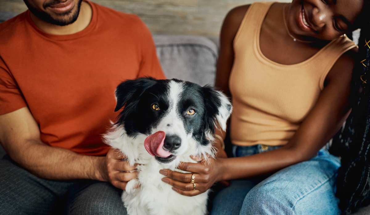 Residents playing with their pet dog at Isles at East Millenia in Orlando, Florida