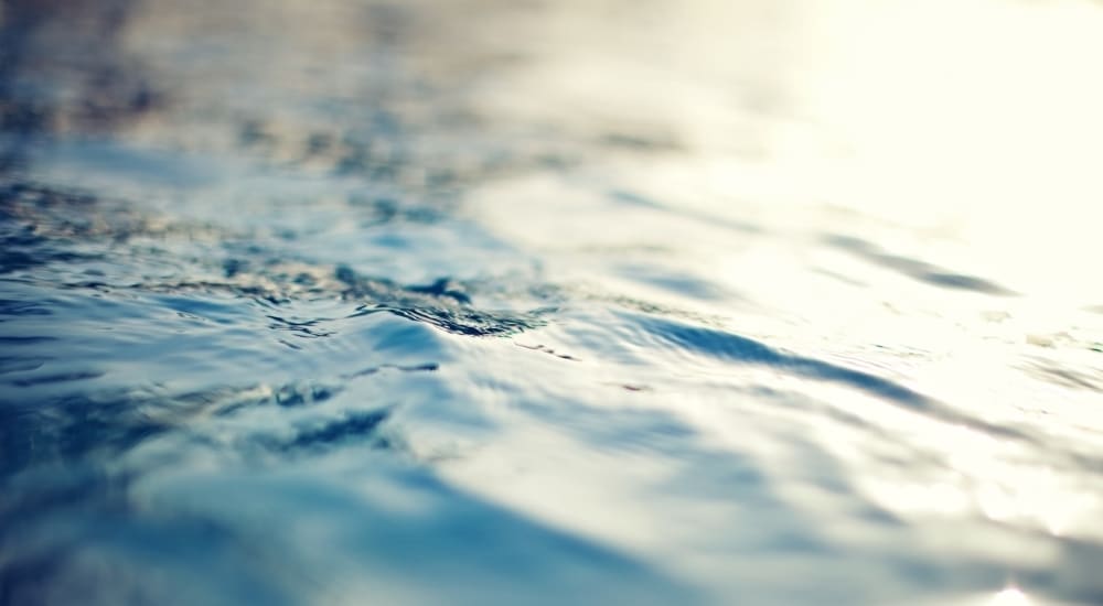 Serene swimming pool closeup at Sharp Leadenhall Apartments in Baltimore, Maryland