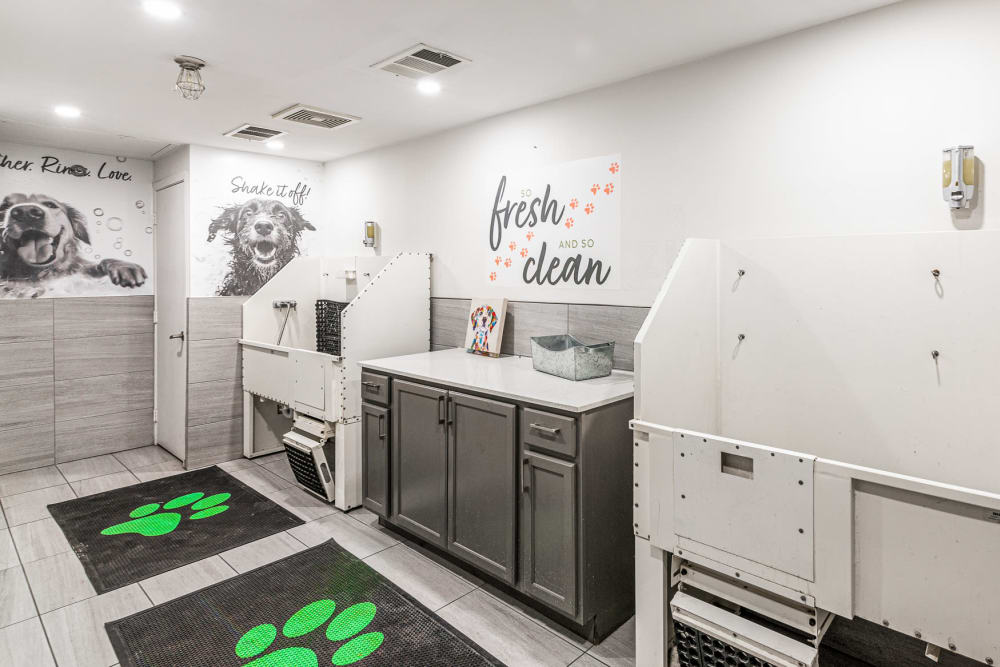 Updated Pet Spa at Cleo Luxury Apartments in Dallas, Texas