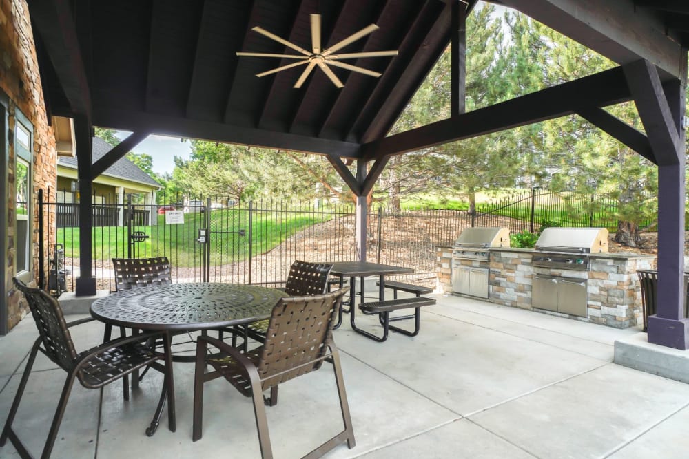 Outdoor picnic & bbq area at The Pines at Castle Rock Apartments in Castle Rock, Colorado