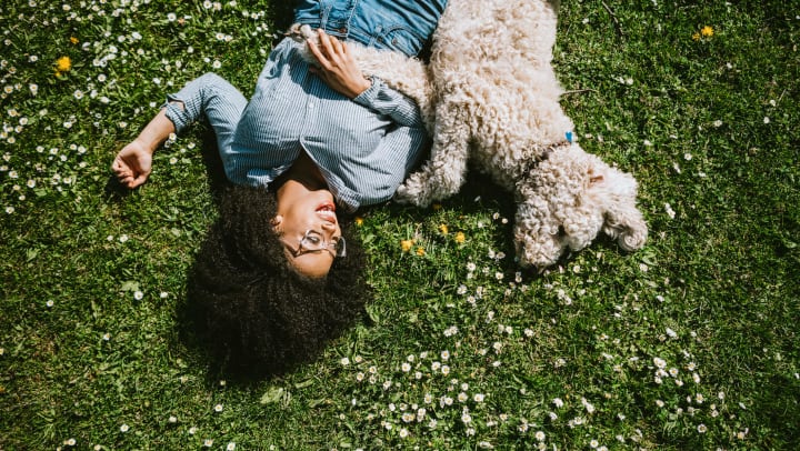 Woman lying on the grass next to a poodle dog