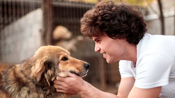 Side view of a cheerful man with curly hair petting a dog at a shelter.