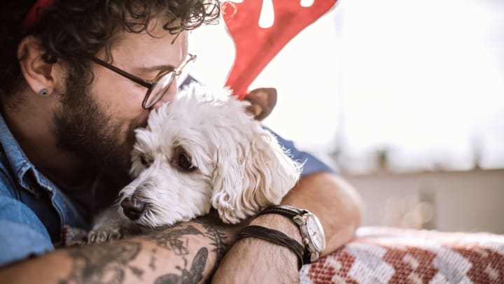 Young man with a beard and glasses snuggling a white dog wearing costume reindeer antlers