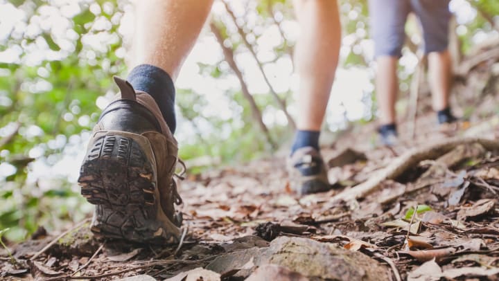 Two people hiking in the woods