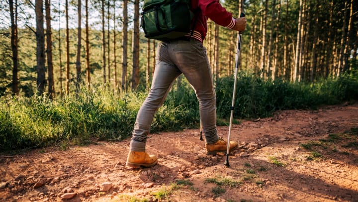 A man with a hiking pole walking along a dirt trail surrounded by trees.