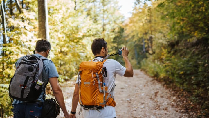 Two men with backpacks holding hands and hiking together in the forest on a beautiful sunny day.