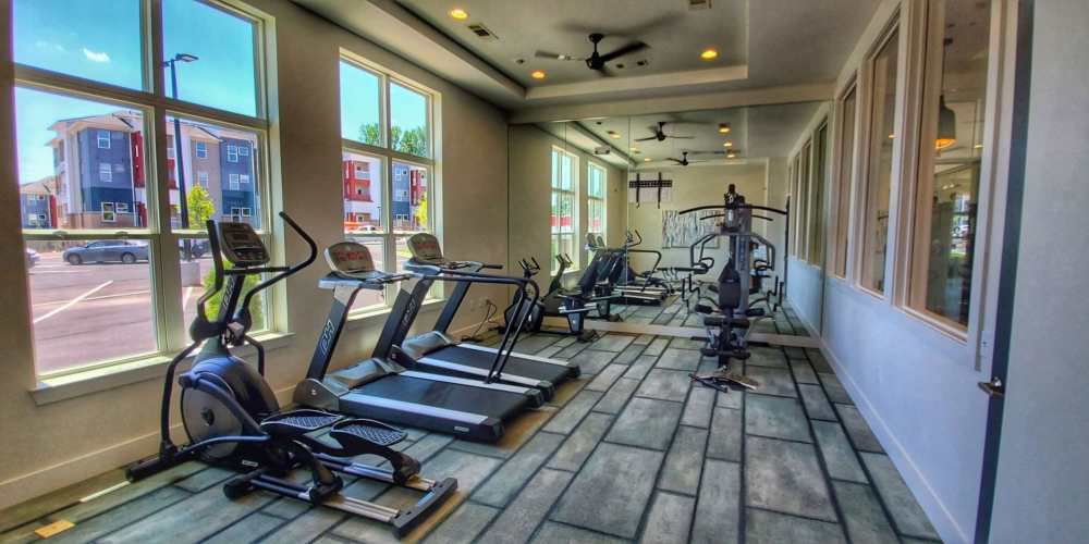 Bright fitness center featuring cardio machines and free weights with large windows for natural light at The Mezzanine at Freedom in Charlotte, North Carolina