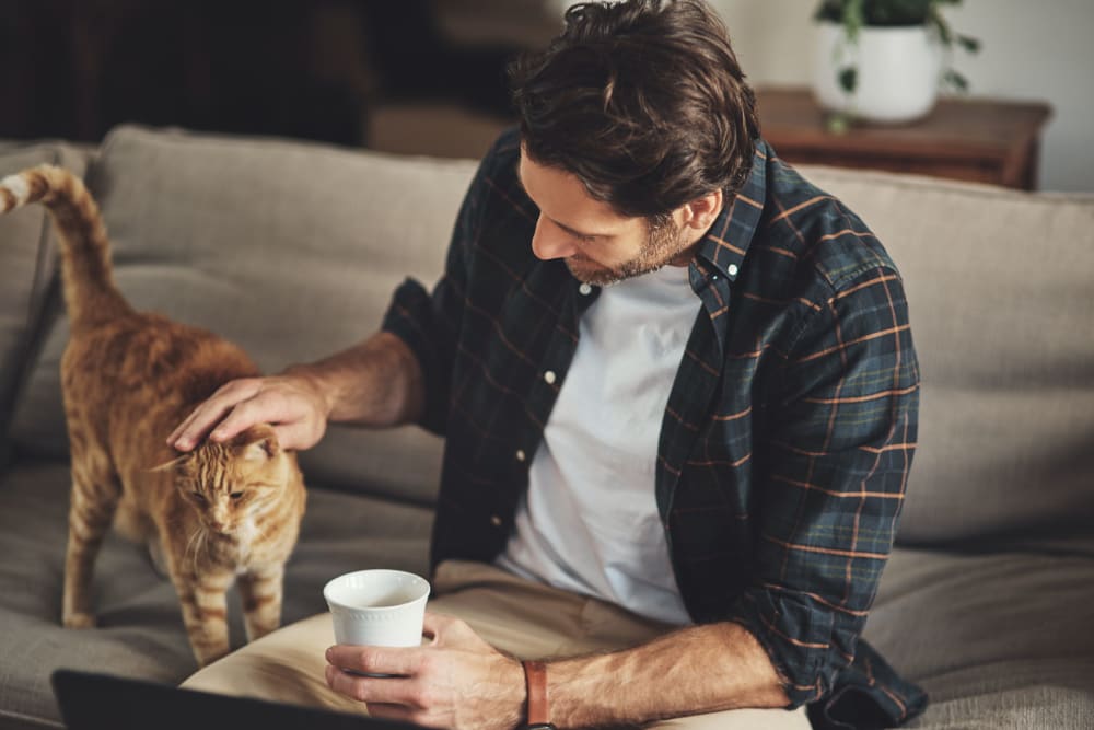 Resident relaxing on the couch with his morning coffee and giving his cat some love in their new home at Oaks Vernon in Edina, Minnesota