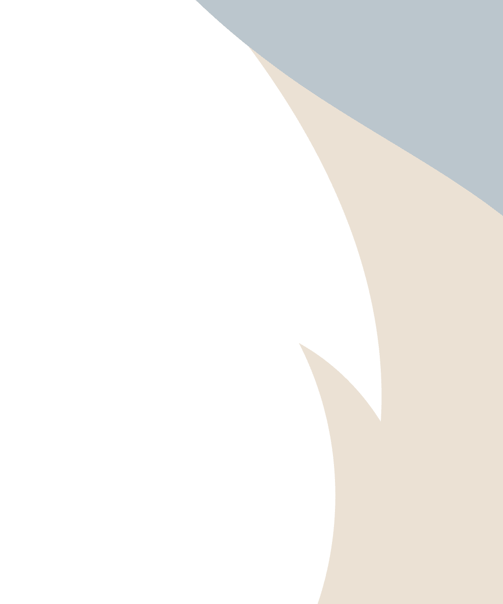 Translucent accent graphic