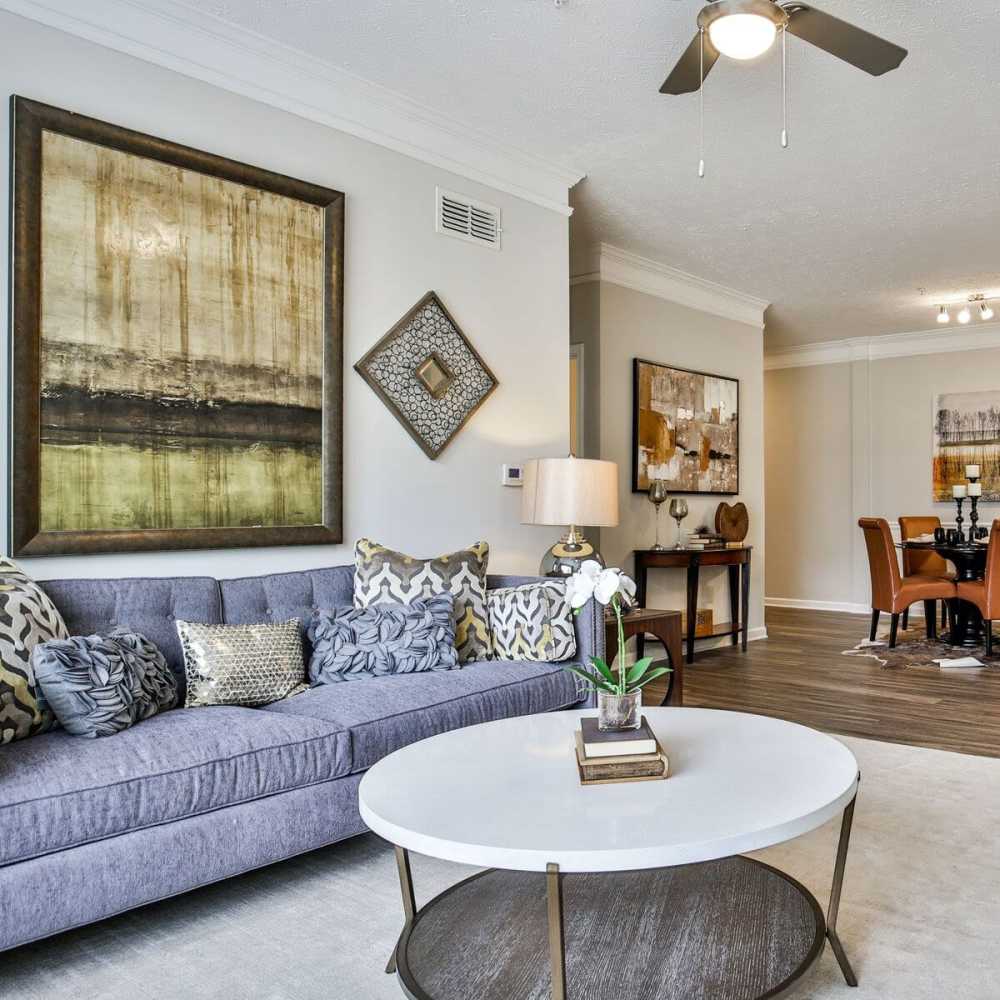 Living room with large rug at Avonlea Highlands in Cartersville, Georgia