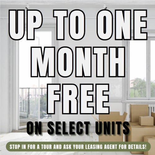 Lakeside At Campeche Summer Special - UP TO ONE MONTH FREE on Select Units Limited Availability - Act Fast! **Discount applies after first full months rent.