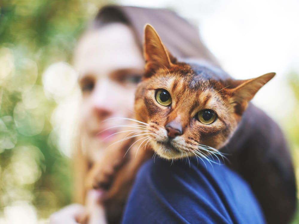 Resident with her cat riding on her shoulder as they take a stroll outside their new home at Citron in Ventura, California