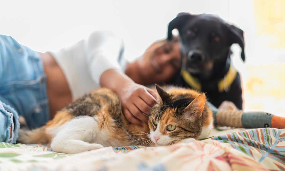 Resident with her pets in her pet-friendly apartment at Yukon on 15th in Yukon, Oklahoma