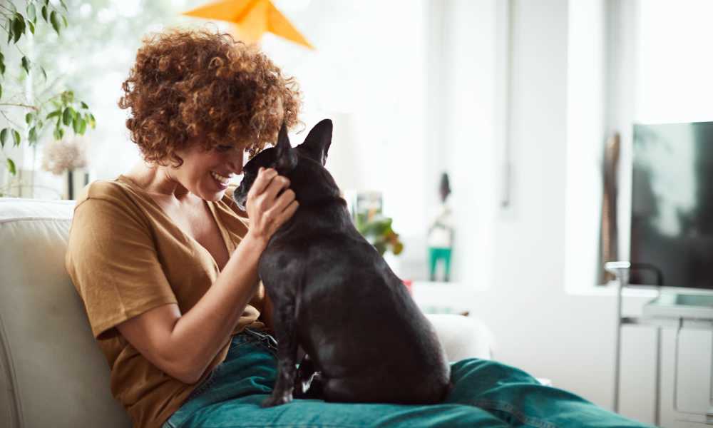 Woman playing with her dog at Colonnade At The Creek in Takoma Park, Maryland