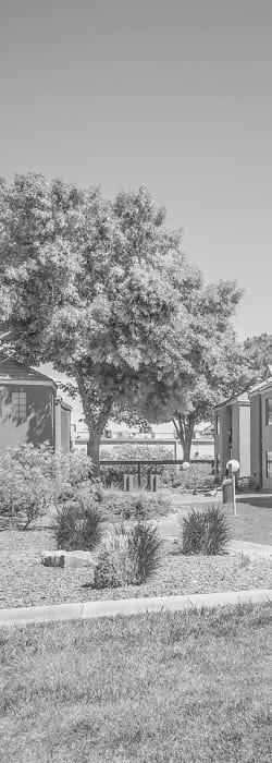 Greyscale photo of the landscaping outside at Shelter Cove Apartments in Las Vegas, Nevada