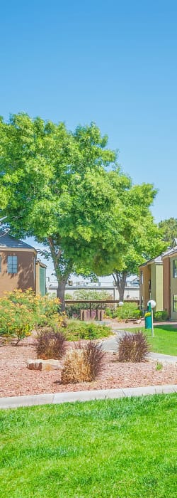 Green grass and mature trees outside at Shelter Cove Apartments in Las Vegas, Nevada