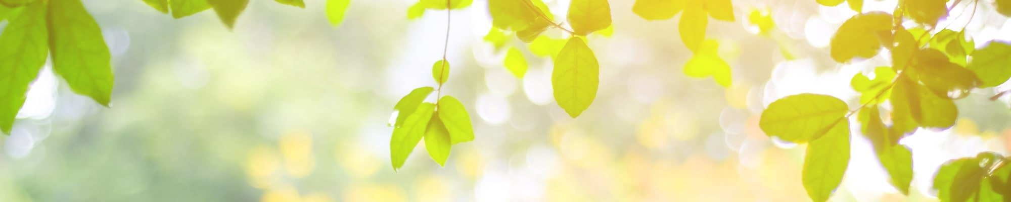Careers at Maplewood Senior Living