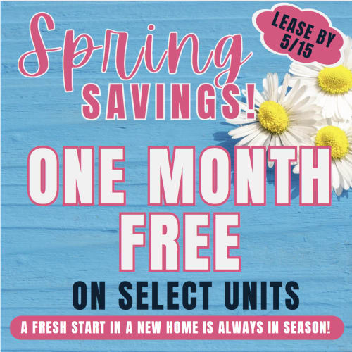 The Ambrose Spring Special One Month Free when you lease by May 15th