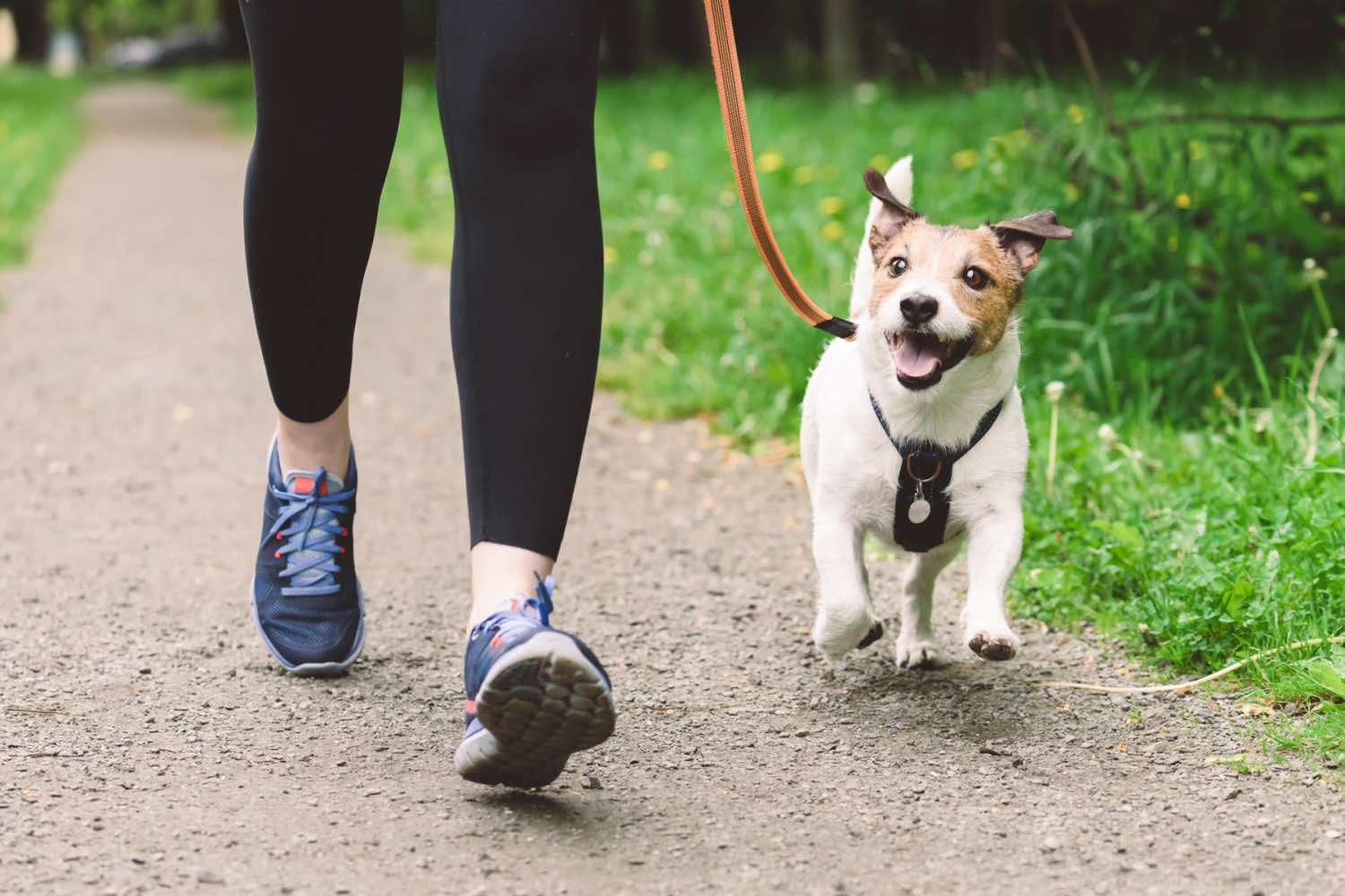 Resident walking a dog near Columbine Apartments in Littleton, Colorado