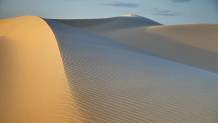 Wind swept sand dunes in the Monahans State Park in Texas