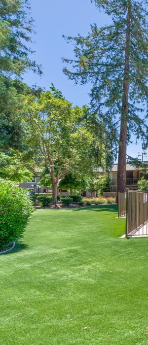 Large grassy lawn for playing fetch with your furbaby at Flora Condominium Rentals in Walnut Creek, California