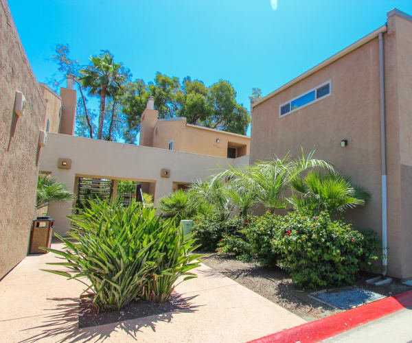 Landscaping around apartments at Hilleary Park in San Diego, California