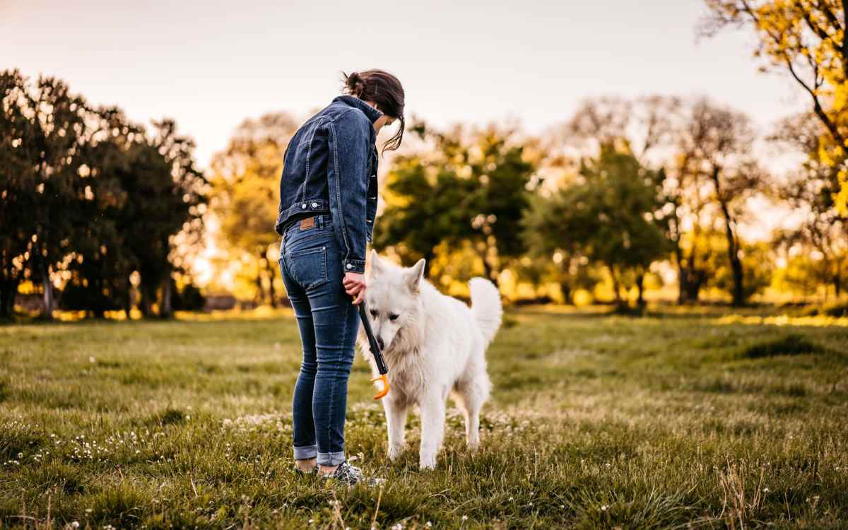 Resident walking with her dog in the neighborhood at Devonwood Apartments in Fayetteville, North Carolina