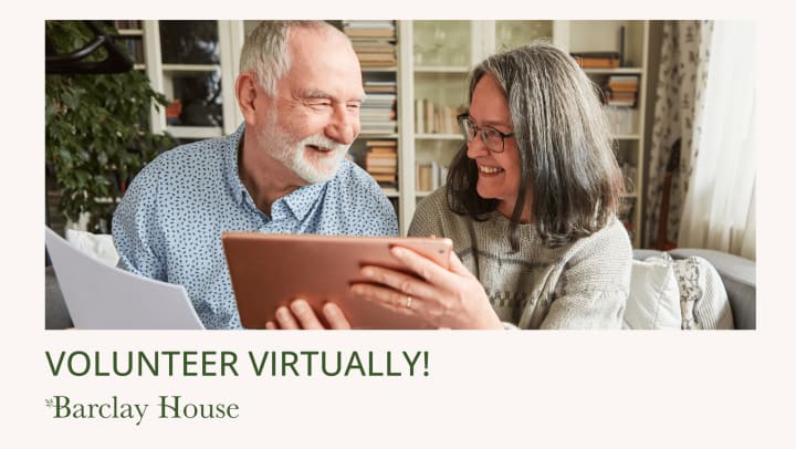 Read about Volunteer Virtually!
