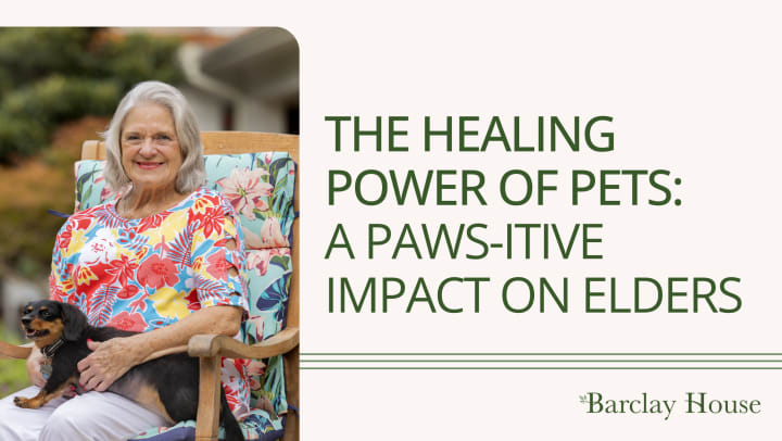 The Healing Power of Pets : A Paws-itive Impact on Elders