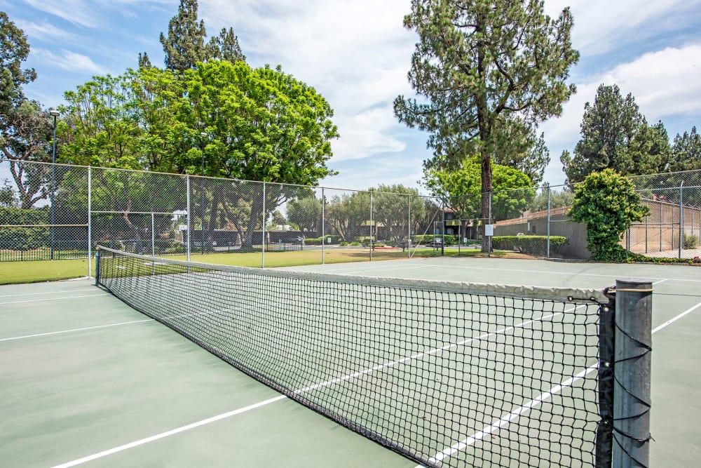 Tennis court at Olive Ridge in Pomona, California
