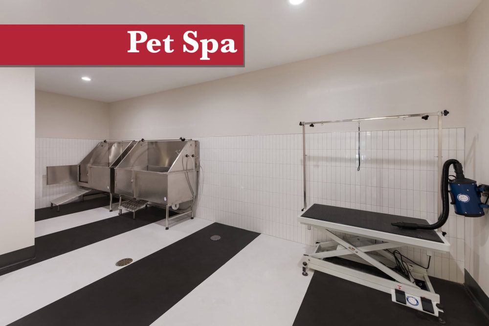 Dog wash and grooming station at Fox and Hounds Apartments in Columbus, Ohio