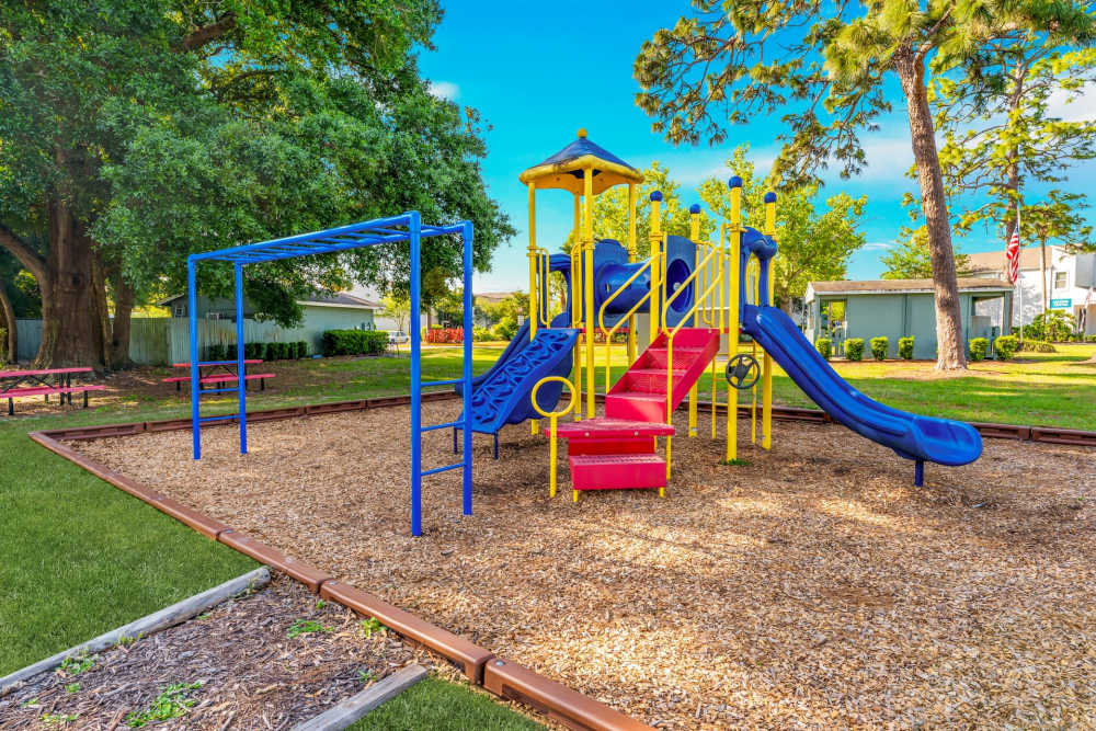 Exterior View Of A Community Playground With Colorful Equipment, A Picnic Area, And Shaded Trees at The Palms at Casselberry in Casselberry, Florida