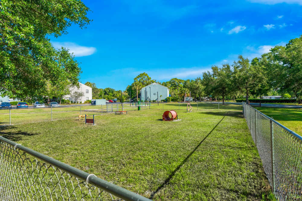 Exterior View Of A Community Dog Park With Green Grass, Fencing, And Dog Agility Equipment at The Palms at Casselberry in Casselberry, Florida