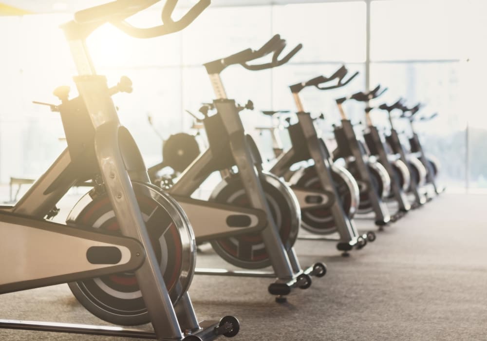 Row of cardio machines in the fitness center at Florence Apartments in Los Angeles, California