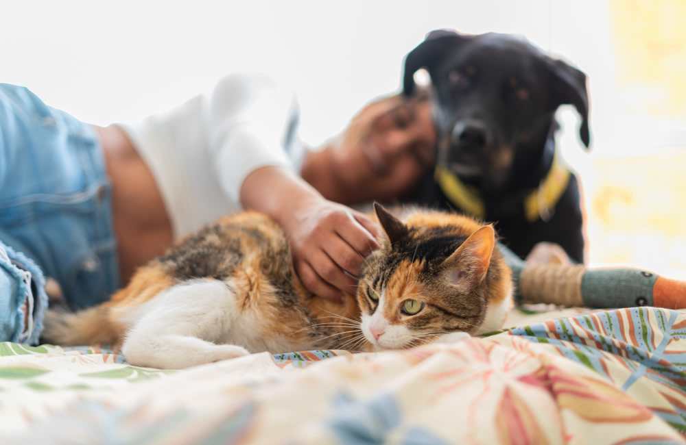 Resident with her pets in new apartment at 266 LOFTS in Memphis, Tennessee