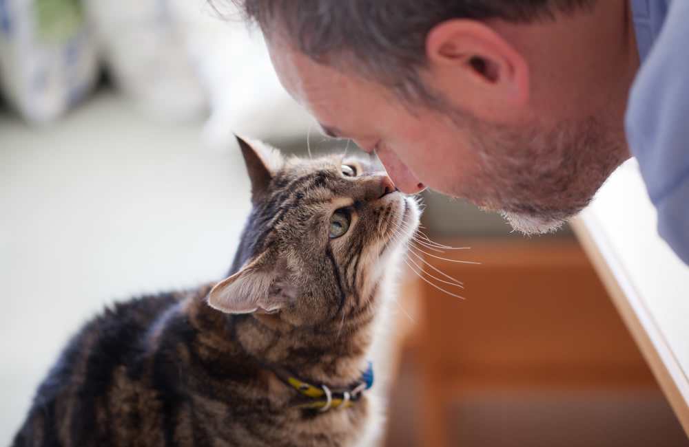 Resident touching noses with his cat at Lancaster in Charlotte, North Carolina