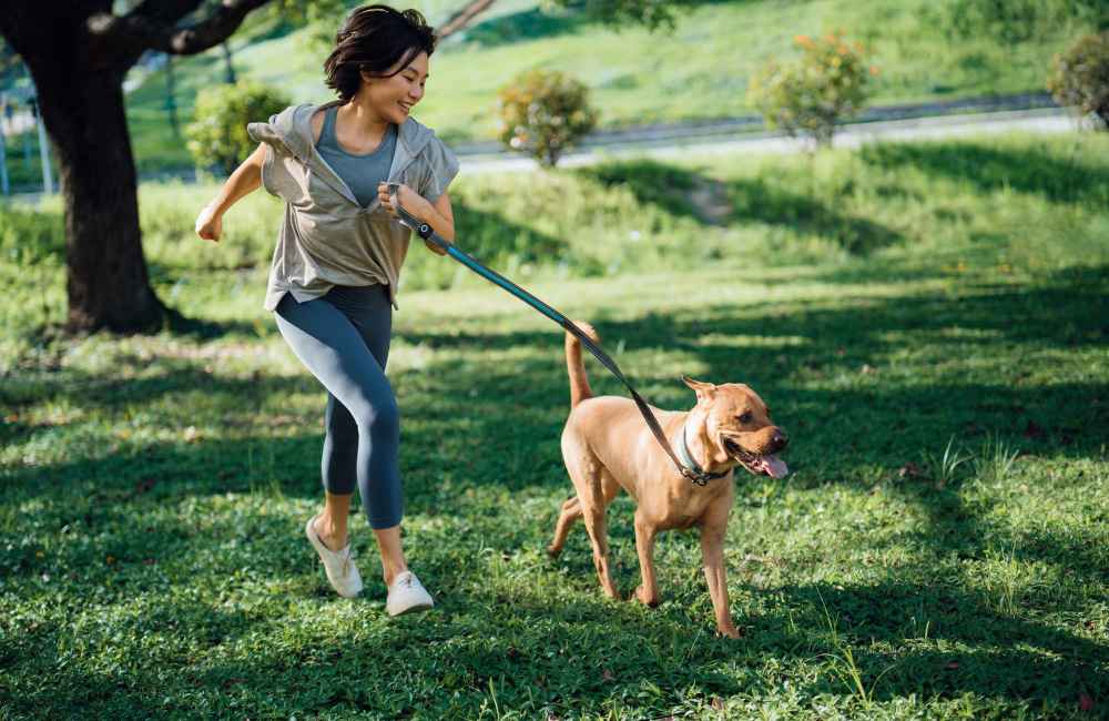 Happy dog with resident at Park Plaza in Baltimore, Maryland