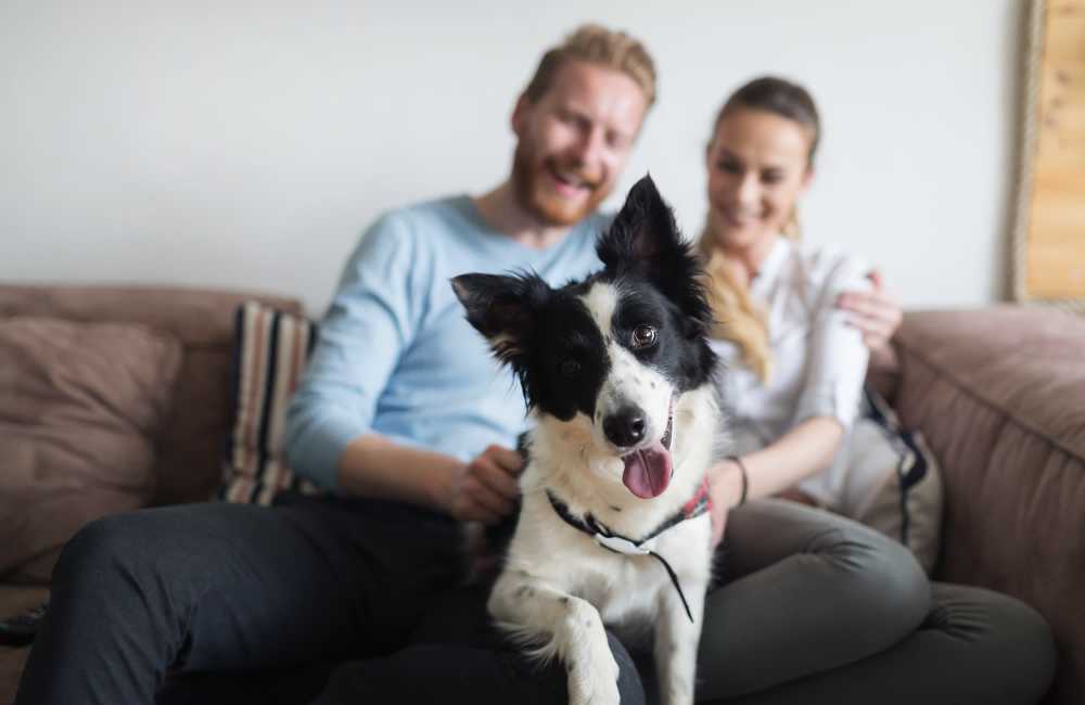 A dog with residents in the sofa at Trilein Village in Ankeny, Iowa