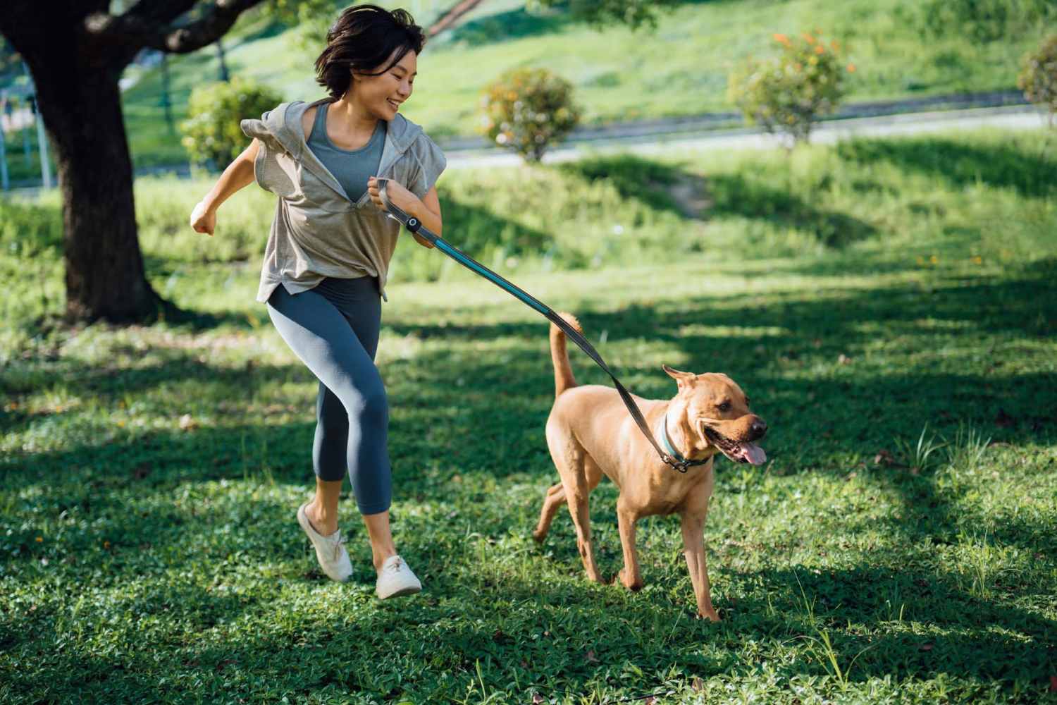Pet friendly at The Hardison in Salt Lake City, Utah 
