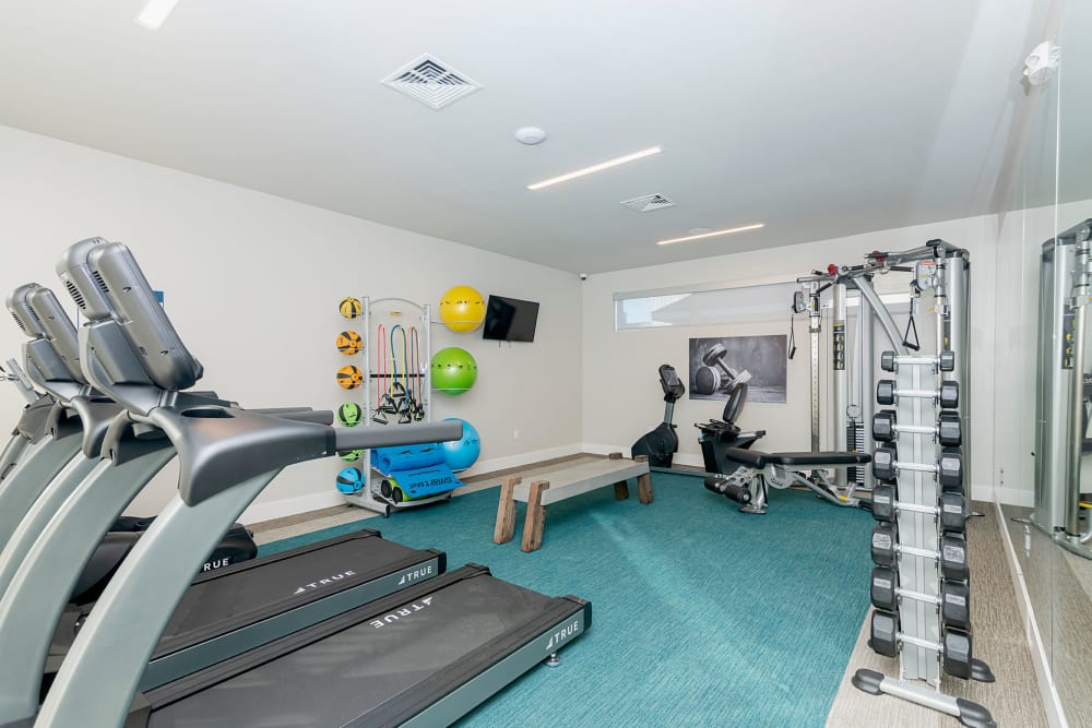 Full sized fitness center for residents to use at parcHAUS AT CELINA PARKWAY in Celina, Texas