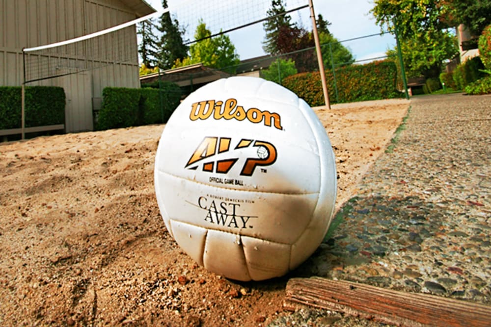 Volleyball court at Glenbrook Apartments in Cupertino, California