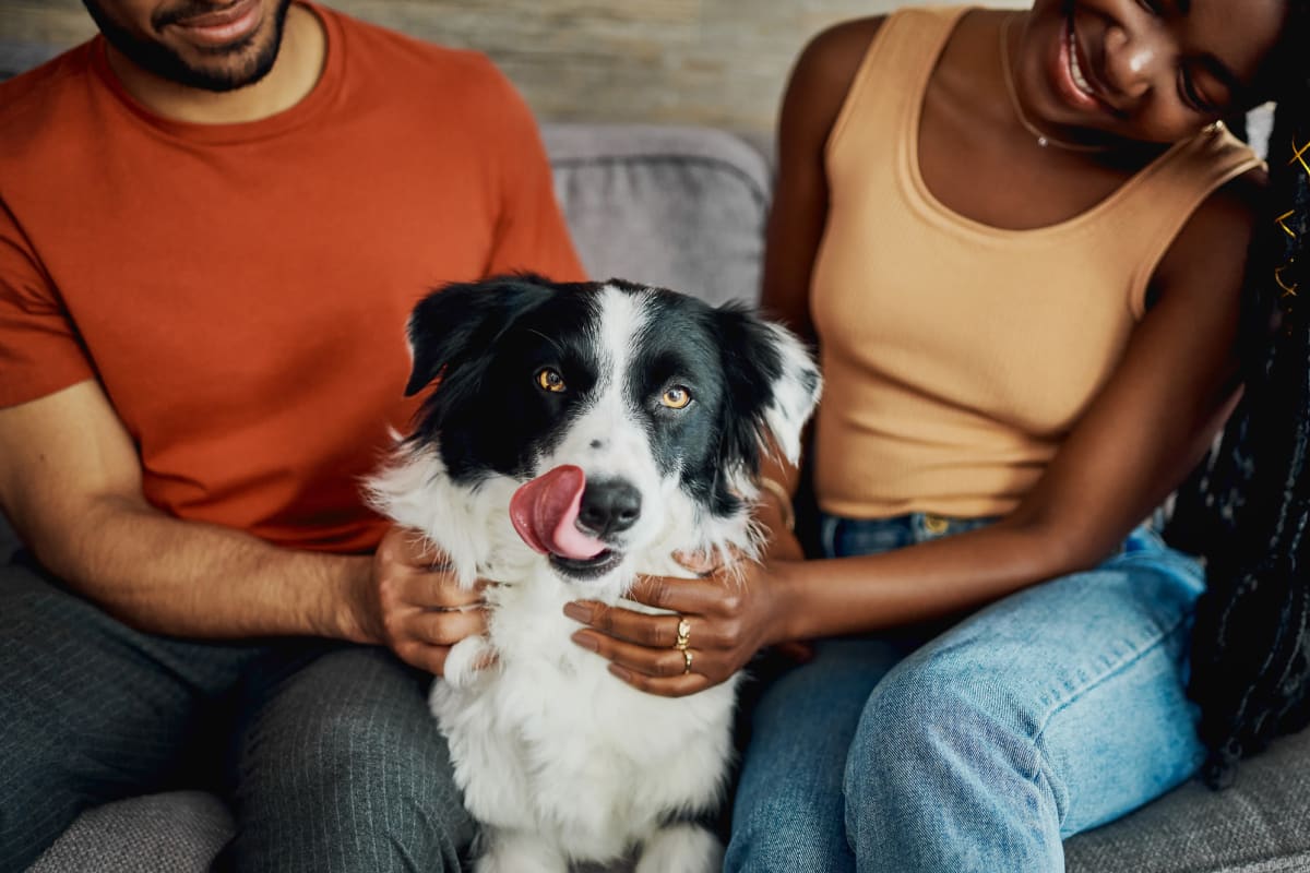 Residents sitting with their dog at Parallel 36 at Jailette in Atlanta, Georgia