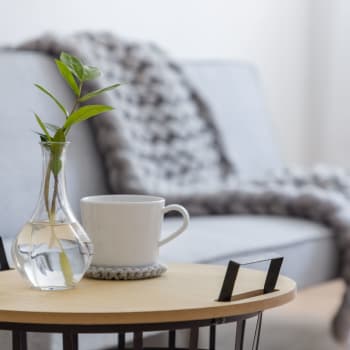 Coffee table with a mug and plant at Whitman Villa Townhomes and Apartments in Hayward, California