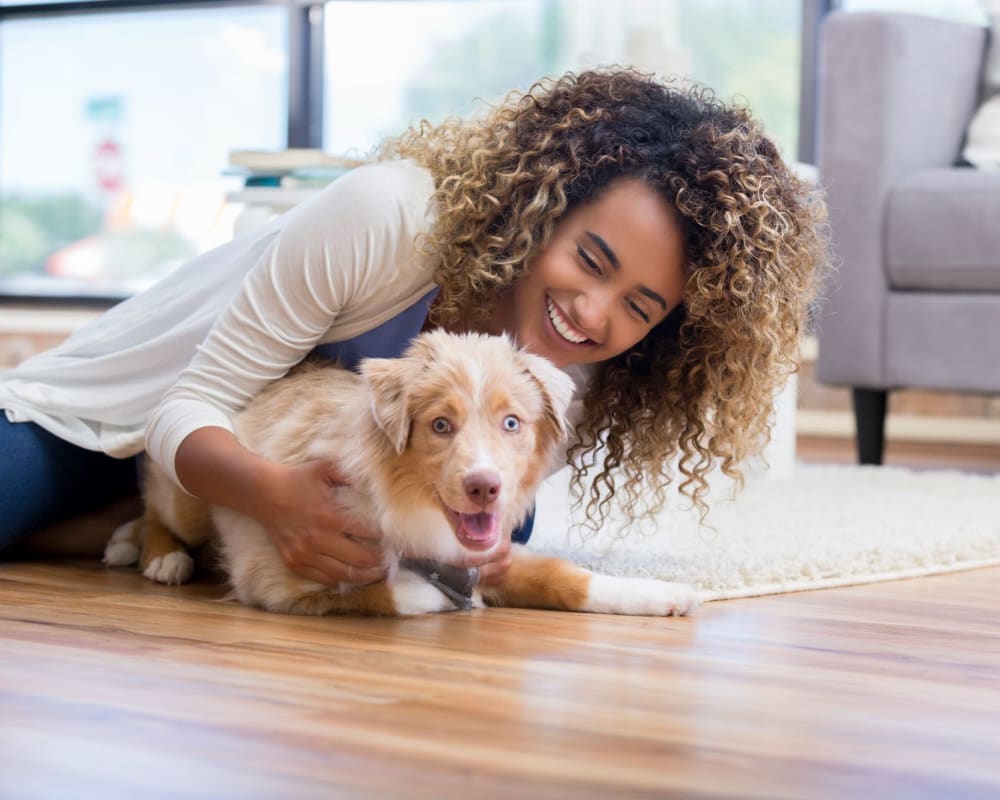 Dog relaxing at home with their owner at The Residences at Escaya in Chula Vista, California