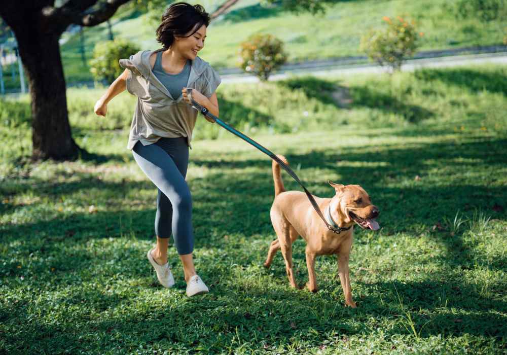 Resident with her dog at bark park near The Quorum At Trophy Club in Trophy Club, Texas
