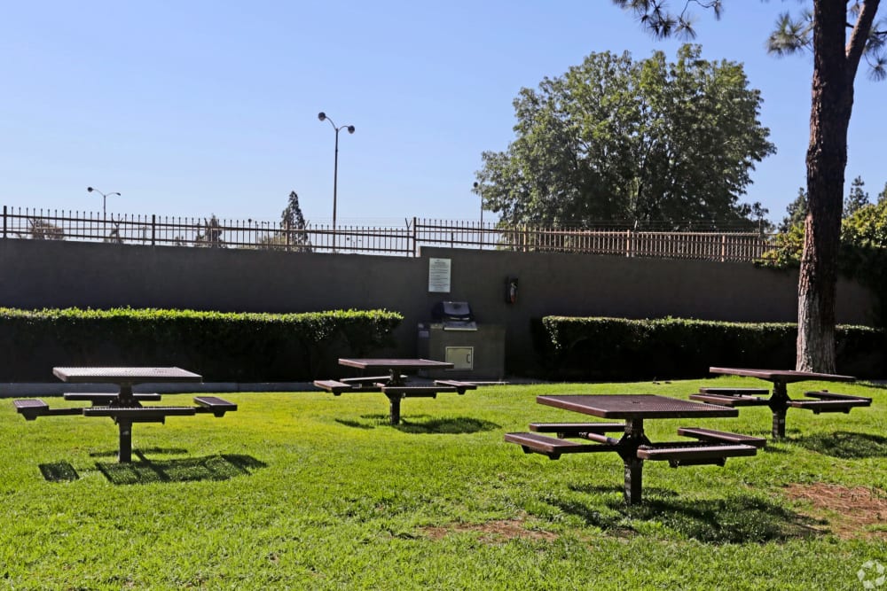 Outdoor picnic area at Olive Ridge in Pomona, California