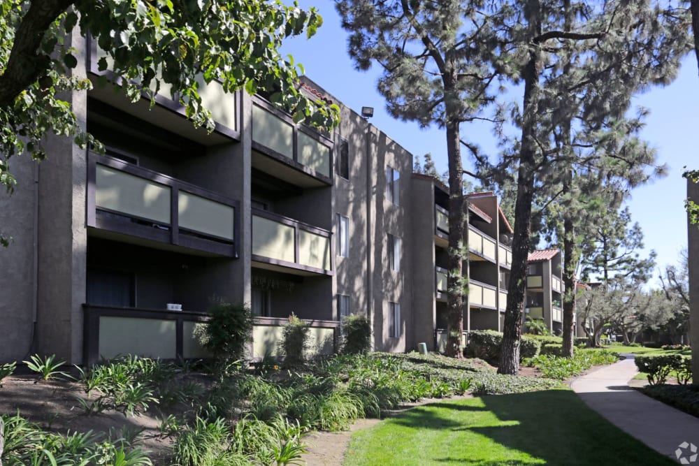 Exterior with greenery at Olive Ridge in Pomona, California