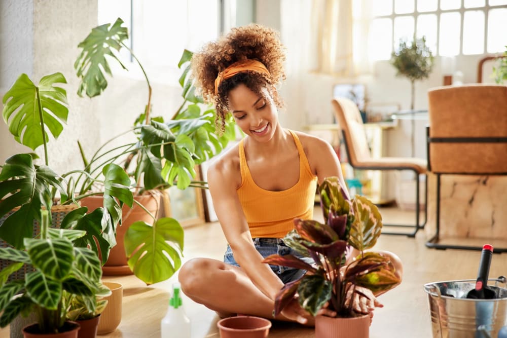 Resident enjoying taking care of her plants at Devonwood Apartment Homes in Charlotte, North Carolina