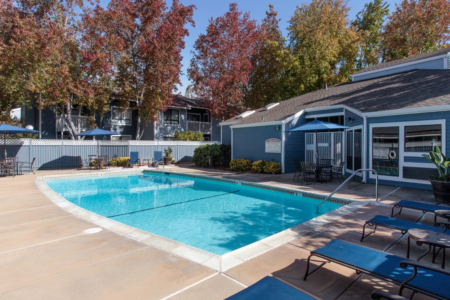 Swimming pool with lounge chairs at Amber Court in Fremont, California